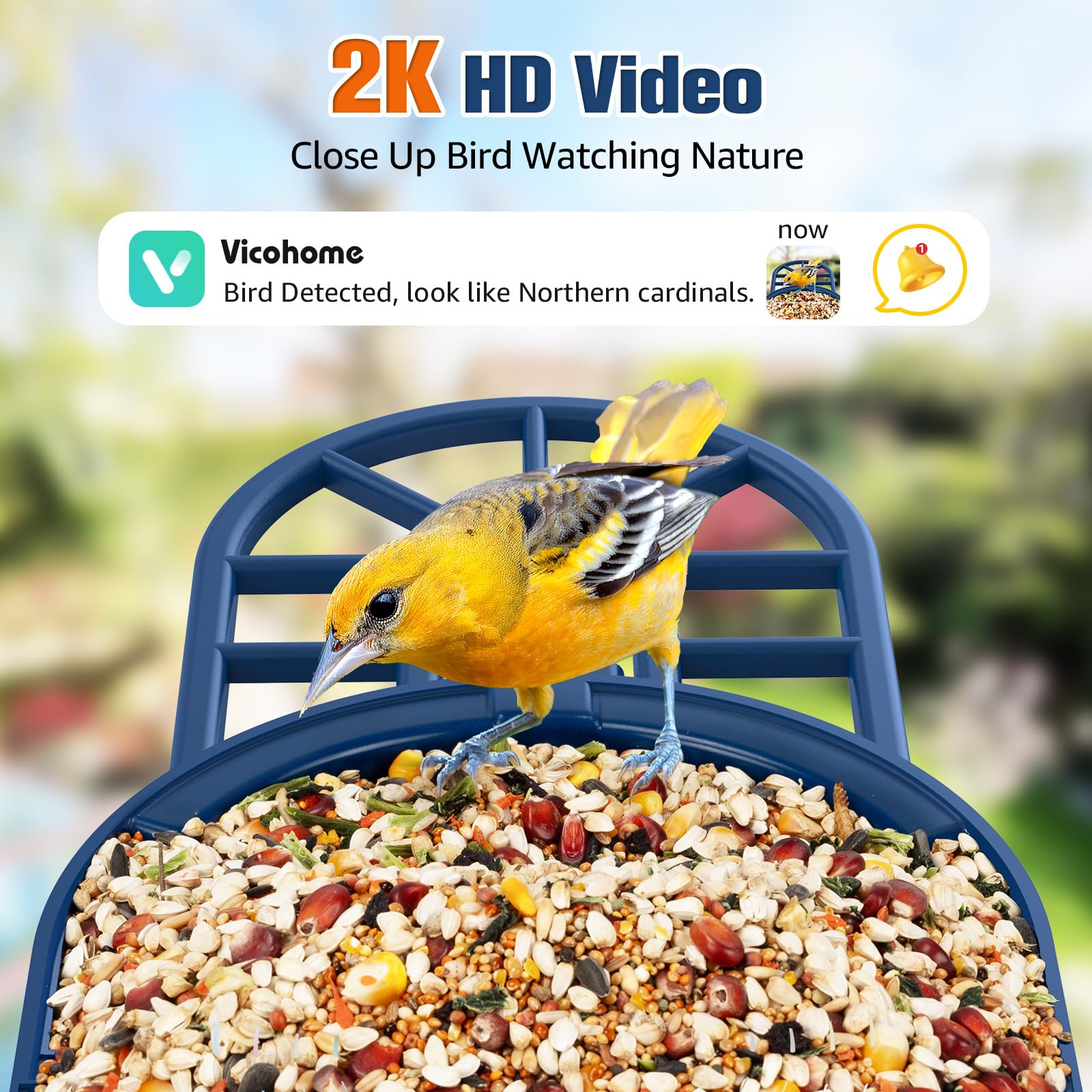 PeckCam® Smart Bird Feeder with Camera - 2K HD AI Bird Identification, Solar Powered Wildlife Camera, Auto Video Recording & Instant Alerts | Perfect Gift for Birdwatchers & Nature Lovers | Backyard Bird Watching, Garden Wildlife Monitoring, Home Security Camera Alternative