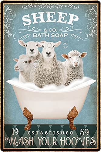 Sheep