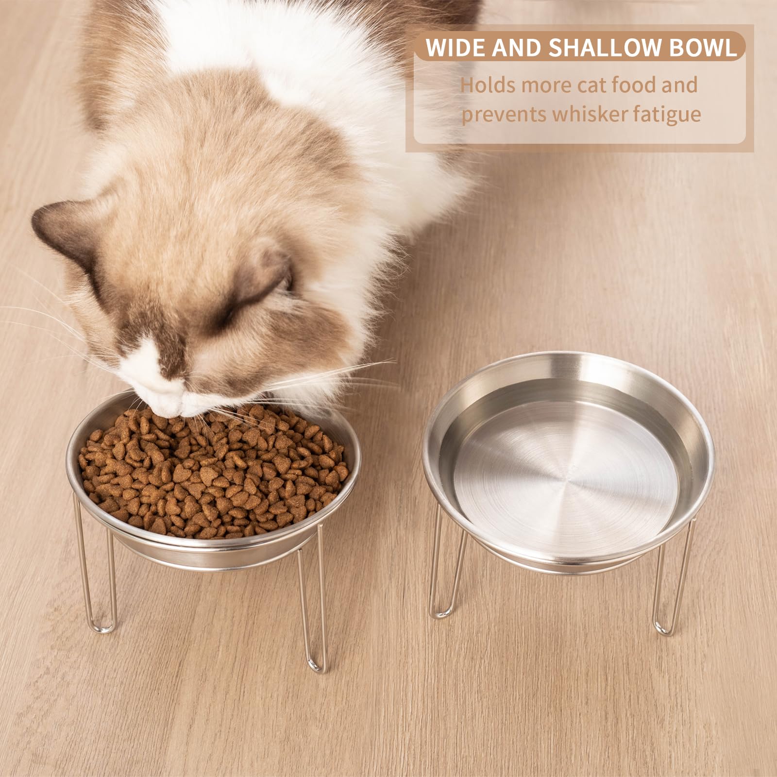 Stainless Steel Elevated Cat Bowls with Stand - 5.9 Inch Wide Tilted Pet Food Dish, Anti-Vomiting & Whisker Friendly Design for Cats, Kittens, Puppies and Small Dogs - Perfect for Indoor Feeding, Dining Comfort & Digestive Health