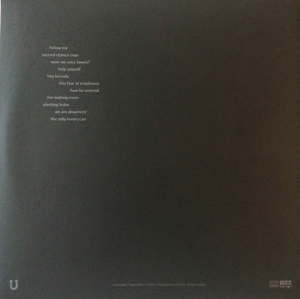 Tindersticks The Waiting Room Vinyl LP Album - Near Mint (NM/M) Condition - Perfect for Record Collectors & Music Enthusiasts