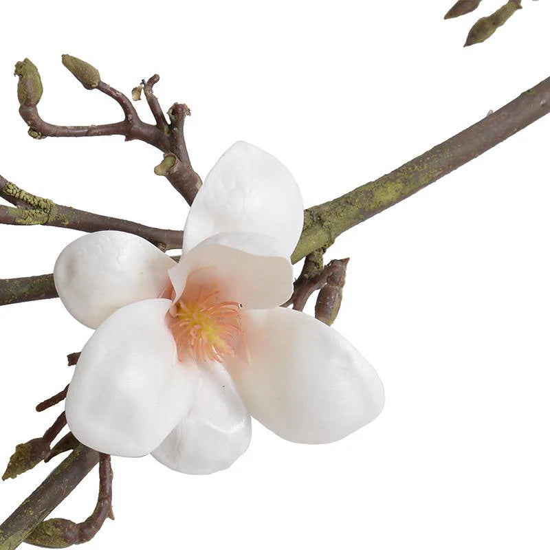 Magnolia Tree Branch for Home Decor - Artificial Faux Magnolia Stems for Floral Arrangements, Wedding Centerpieces, and DIY Crafts