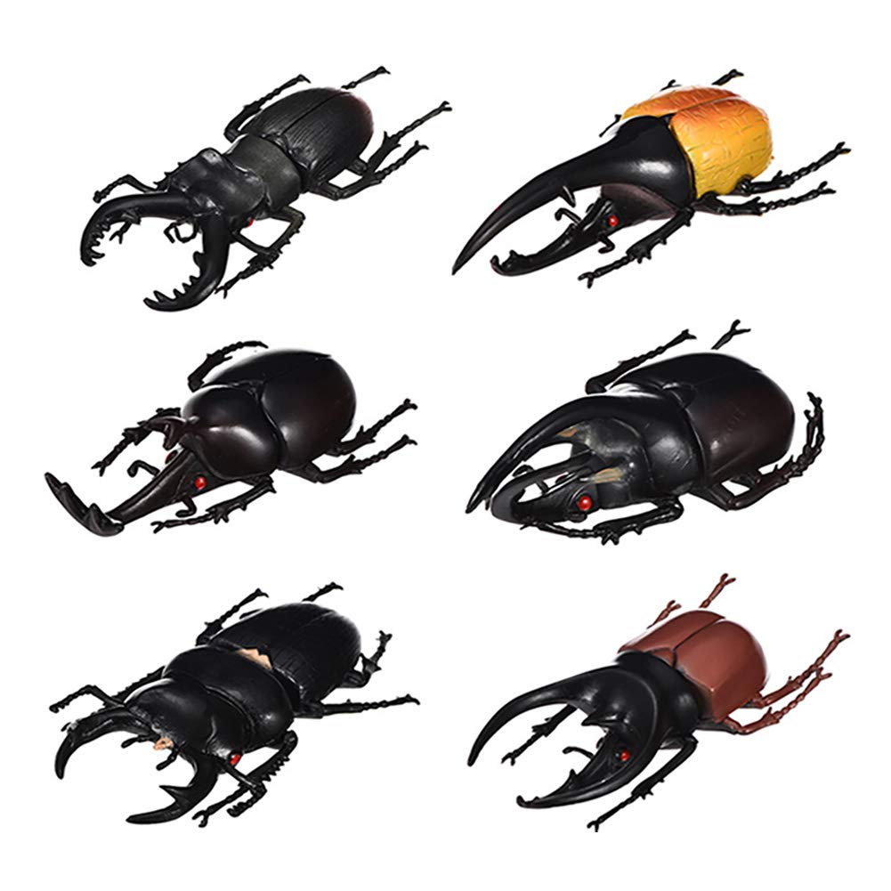 Realistic Beetle Model Toys - Pack of 6 Lifelike Insect Figures for Science Education & Kids Learning | Halloween Party Favors, Classroom Decor & Nature Exploration (5.5 Inch)