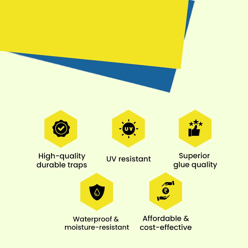 Non-Toxic Yellow & Blue Sticky Traps for Aphids, Whiteflies, Thrips - Pack of 10 | Chemical-Free, Waterproof Insect Catchers for Indoor/Outdoor Plants | IFFCO Urban Gardens