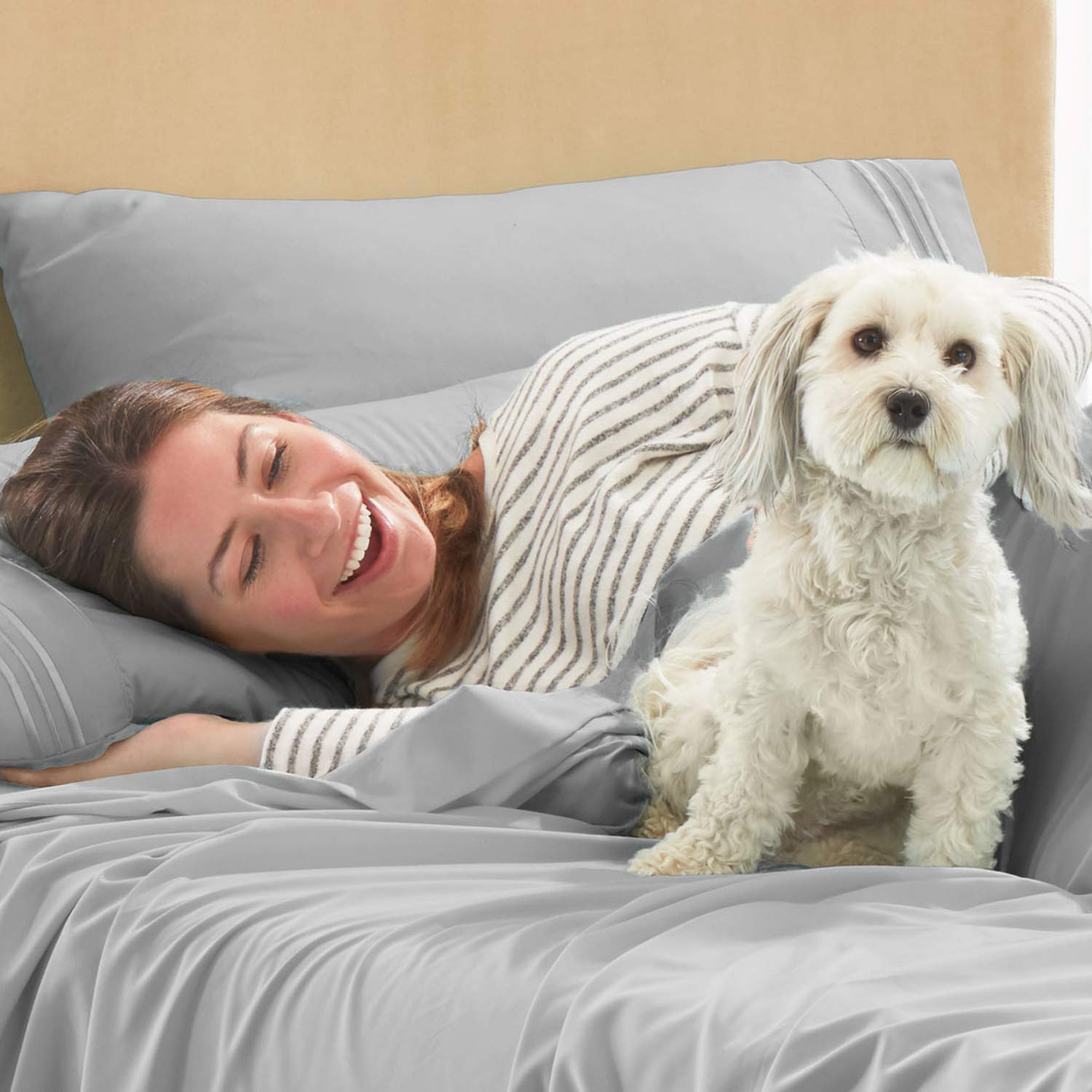 Empyrean 3-Piece Twin Sheet Set - Ultra Soft Double Brushed Microfiber Bed Sheets - Hotel Luxury Silver Light Gray Twin Size with Deep Pocket & Elastic Corners - Perfect for Guest Rooms, Dorms & Cozy Bedrooms