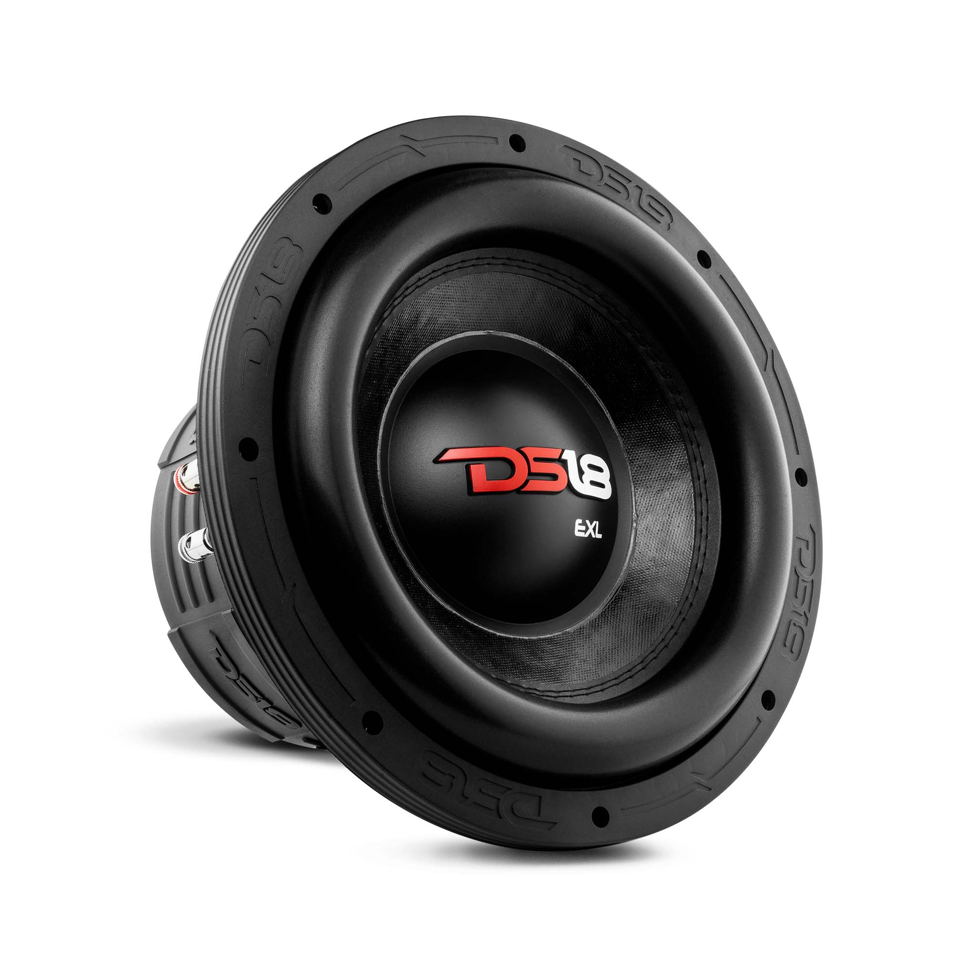 EXL X 10 Inch Car Subwoofer 850 Watts RMS Power DVC 2 Ohm - Premium Bass for Car Audio Systems & Home Theater