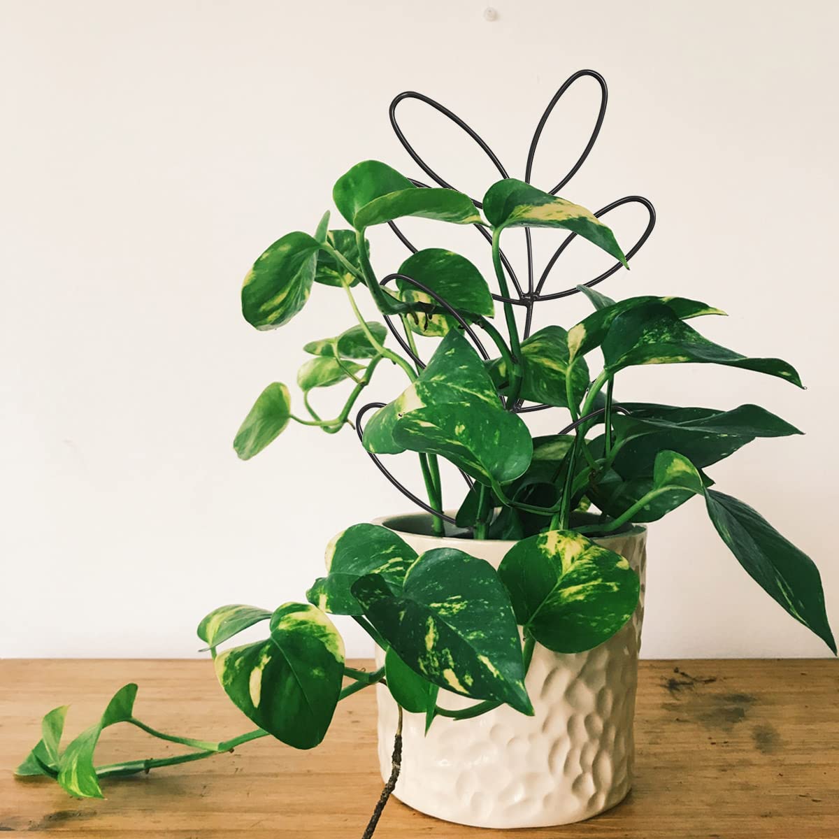 2-Pack Indoor Plant Trellis - Small Metal Wire Garden Trellis for Climbing Plants, Leaf-Shaped Support for Potted Houseplants (Blackish Green) | Perfect for Monstera, Pothos & Ivy in Home, Office or Balcony Gardens