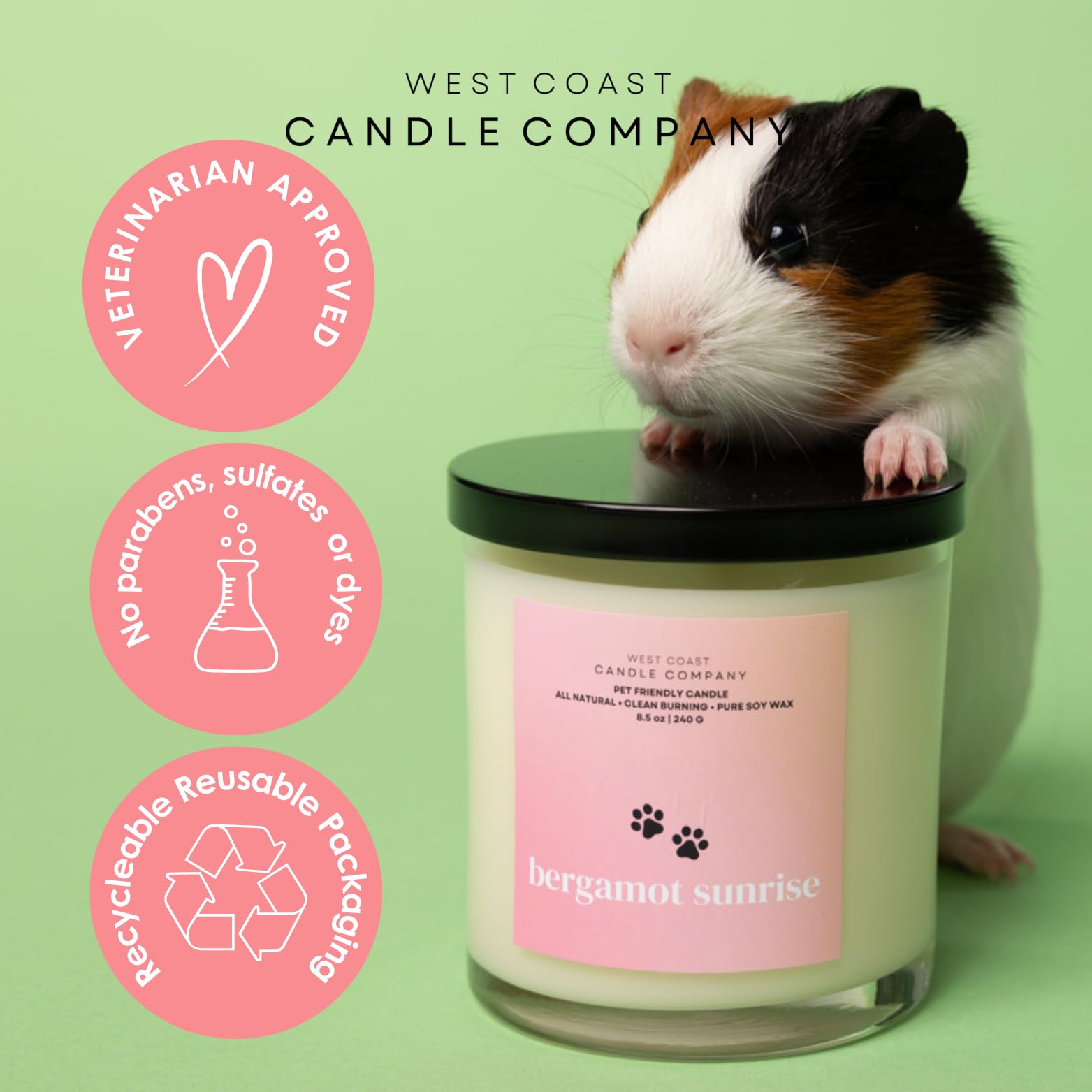 Pet Safe Wax Melts - All Natural, Non-Toxic Soy Wax Melts for Dogs & Cats | Veterinarian Approved Pet Odor Eliminator | Perfect for Home, Car & Office Air Freshening