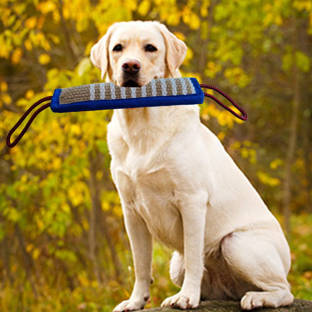 Durable Jute Dog Tug Toy for Medium & Large Breeds - Strong Bite-Resistant Pull Toy for Interactive Play, Tug of War & Training - Blue Dog Chew Pillow & Bite Sleeve Toy (Perfect for Playtime, Bonding & Aggressive Chewers)