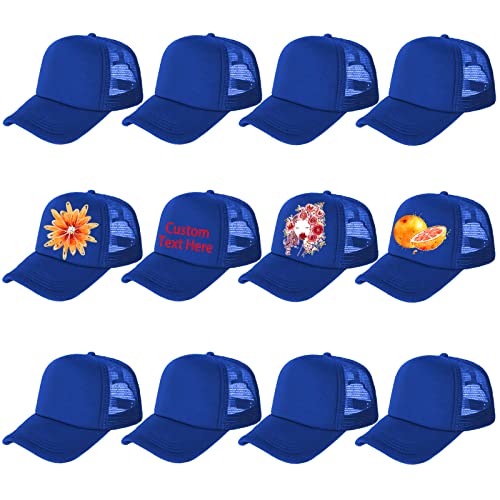 12pack-royal Blue
