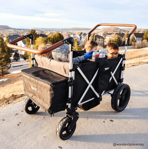 Keenz 7S+ 4 Passenger Stroller Wagon - All-Terrain Push Wagon for Kids & Toddlers | Perfect for Beach Trips, Park Outings & Family Adventures