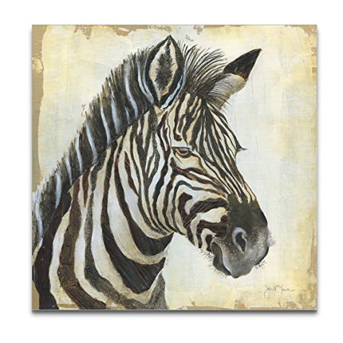Patterned Zebra