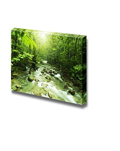Tropical Mountain
