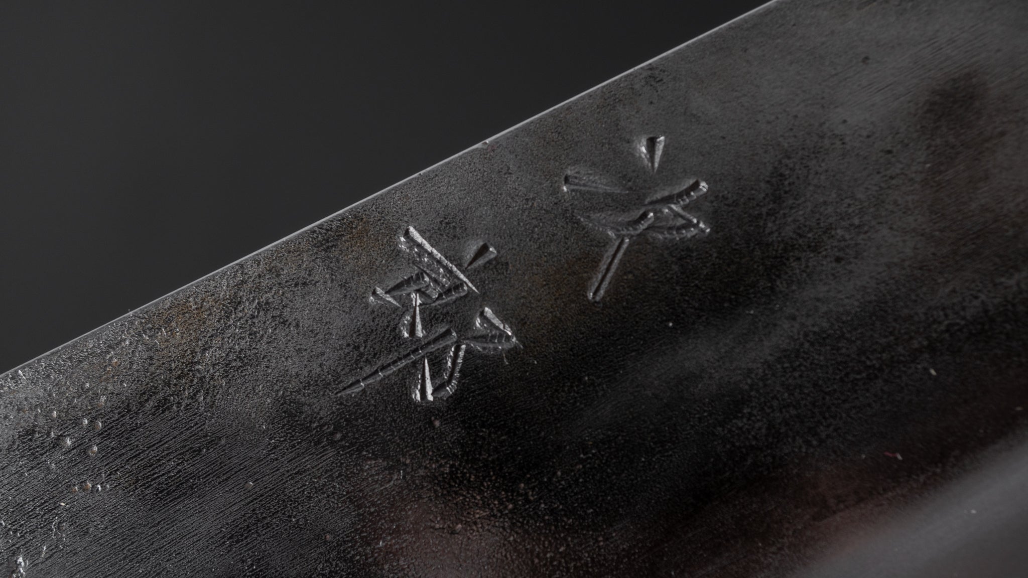 Premium Jiro Tsuchime Wa Gyuto 240mm Japanese Chef Knife - Taihei Tagayasan Handle (#305) - Perfect for Sushi, Meat Cutting & Professional Kitchen Use