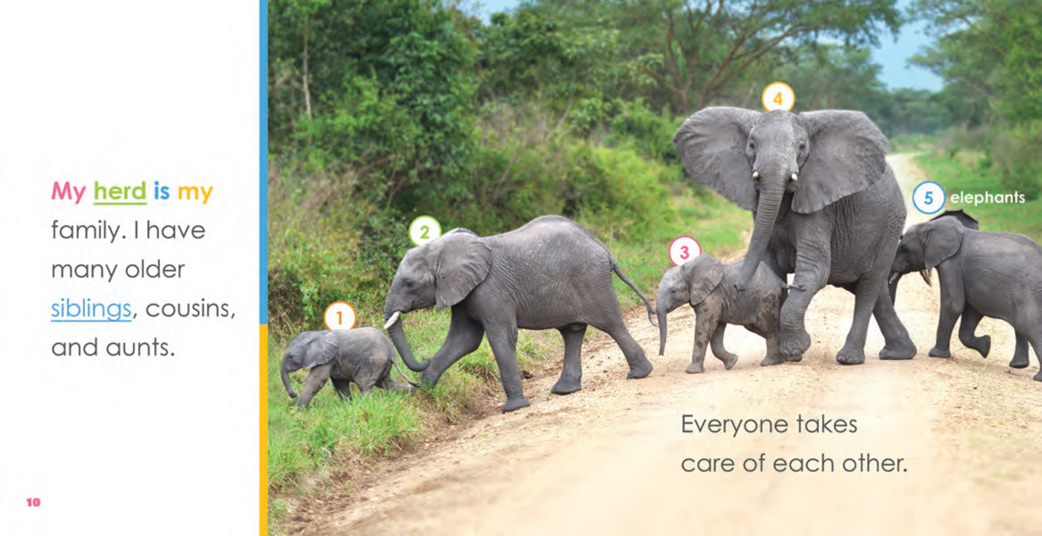 Baby Elephants Book - ISBN 9781640260740 - Perfect for Kids' Bedtime Stories & Early Learning