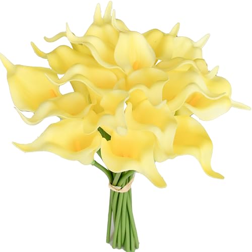 Light Yellow