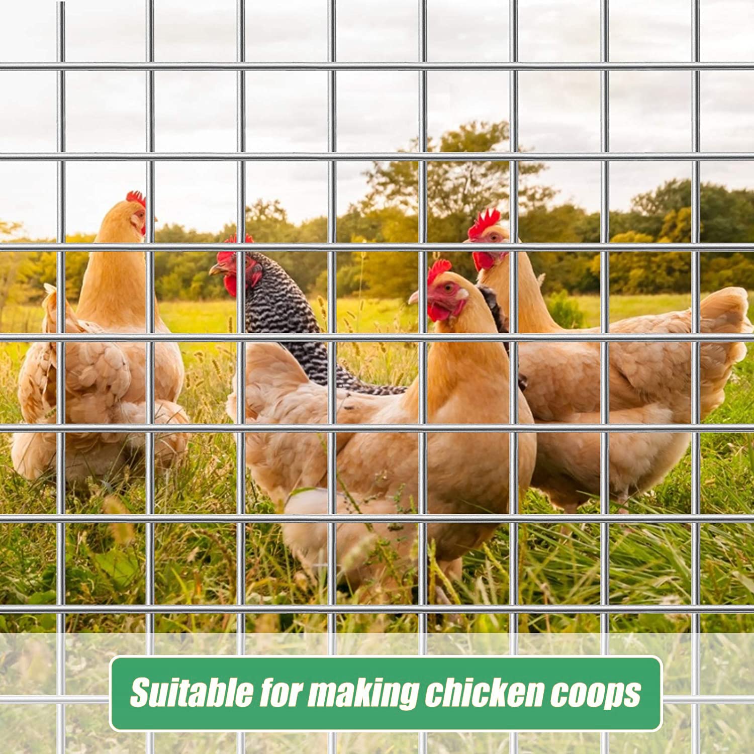 1/2 Inch 19 Gauge Hot-Dipped Galvanized Hardware Cloth - 48in x 50ft Wire Mesh Roll for Chicken Coop, Garden Fence, Animal Enclosure & Pest Control | Durable Metal Wire Fencing for Poultry, Vegetables & Small Animals