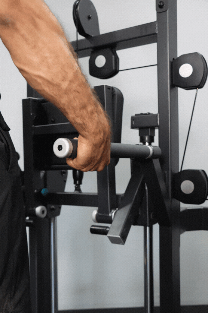 Commercial Elite Dip Chin Assist - Heavy Duty Body Iron for Strength Training - Perfect for Home Gym & Fitness Enthusiasts