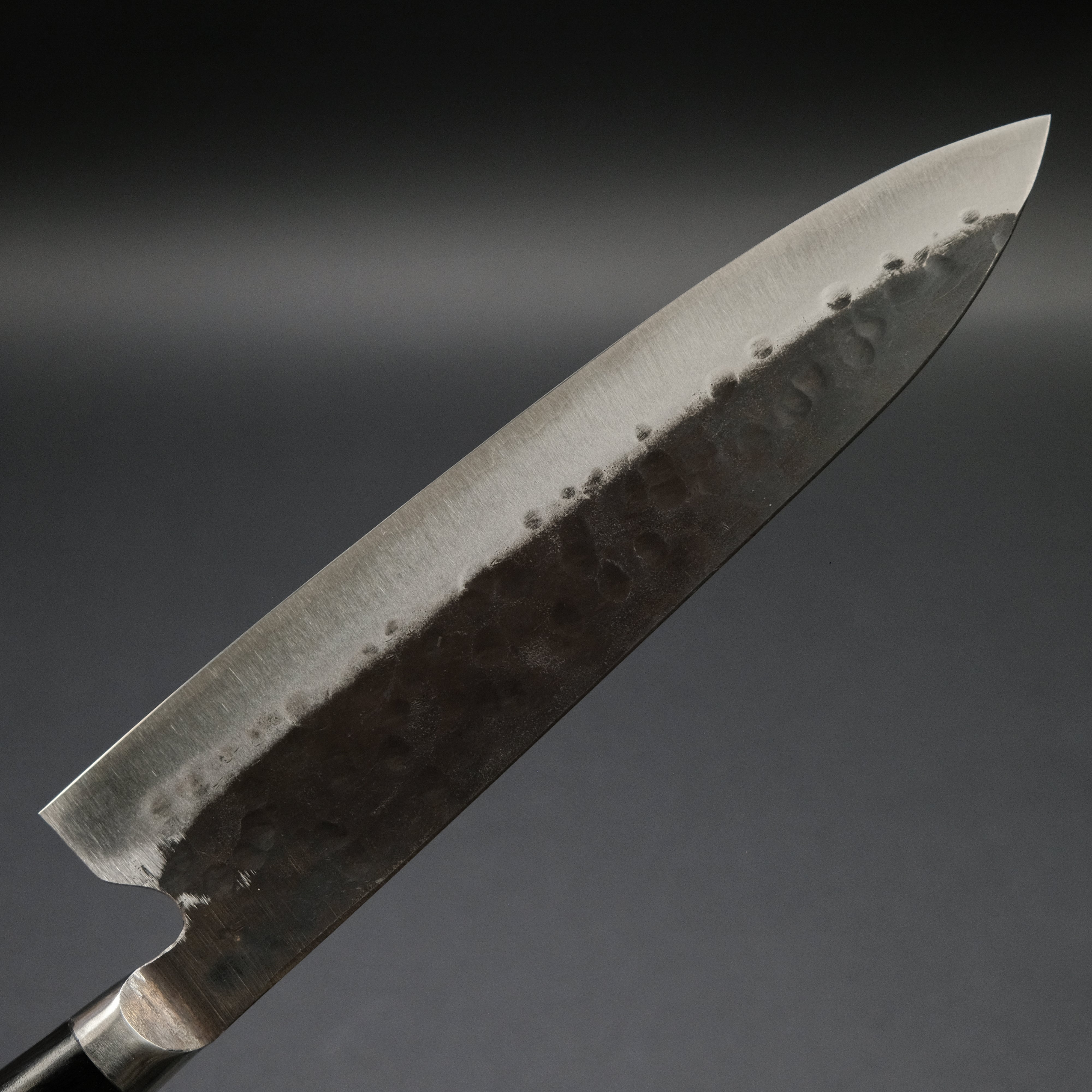 Teruyasu Fujiwara Denka Gyuto 210mm Japanese Chef Knife with Pakka Wood Handle - Professional Kitchen Knife for Sushi, Meat Cutting & Precision Cooking