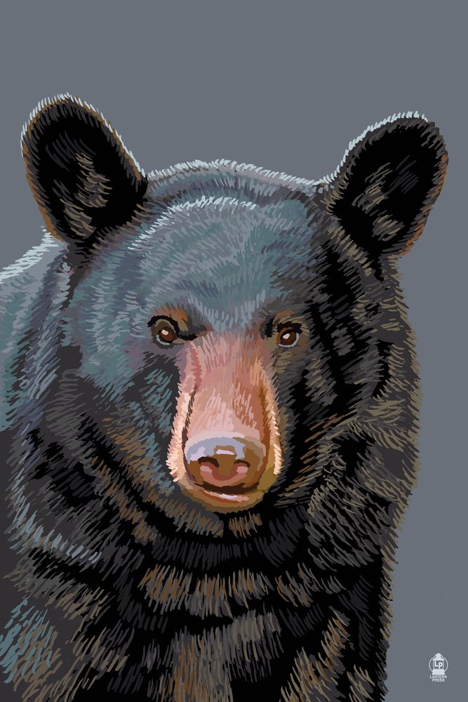 Black Bear Up Close - Premium Giclee Art Print 16x24 Inches - Wildlife Wall Decor & Travel Poster for Living Room, Office, or Cabin