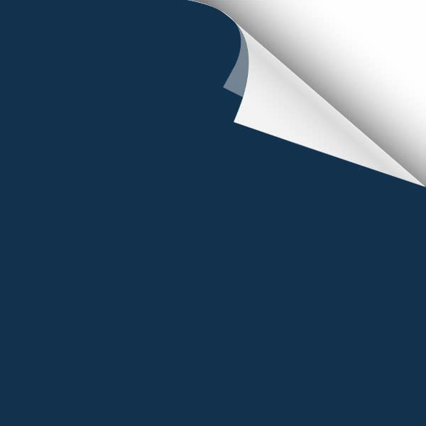 Crow Black Blue