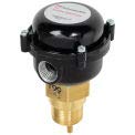 McDonnell & Miller FS8-W 1 Inch NEMA Flow Switch - Reliable Water Flow Monitoring for HVAC, Pumps & Industrial Systems
