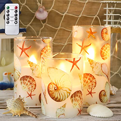 Shell Startfish Decals