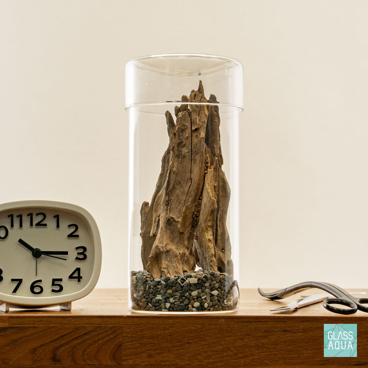 Miniature Terrarium Kit for Home Decor - DIY Glass Terrarium with Succulents & Air Plants - Perfect for Office Desk, Gift Idea, and Indoor Gardening Enthusiasts
