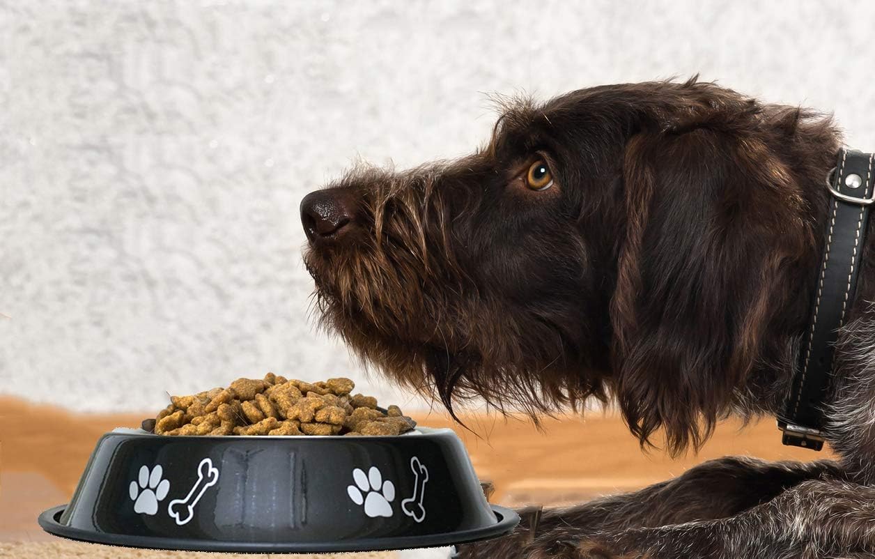 Movson 1000ml Stainless Steel Pet Bowl with Non-Slip Rubber Base - Premium Dog Cat Rabbit Food & Water Dish - Rustproof & Scratch Resistant - Ideal for Puppies, Kittens & Small Pets - Perfect for Home, Travel & Outdoor Use (2-Pack)