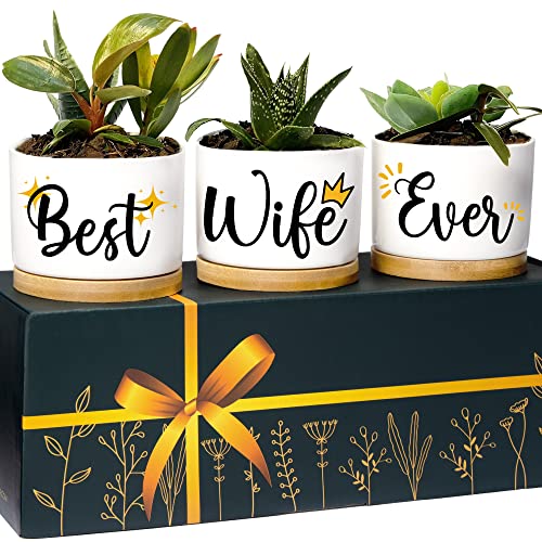 Wife Planters