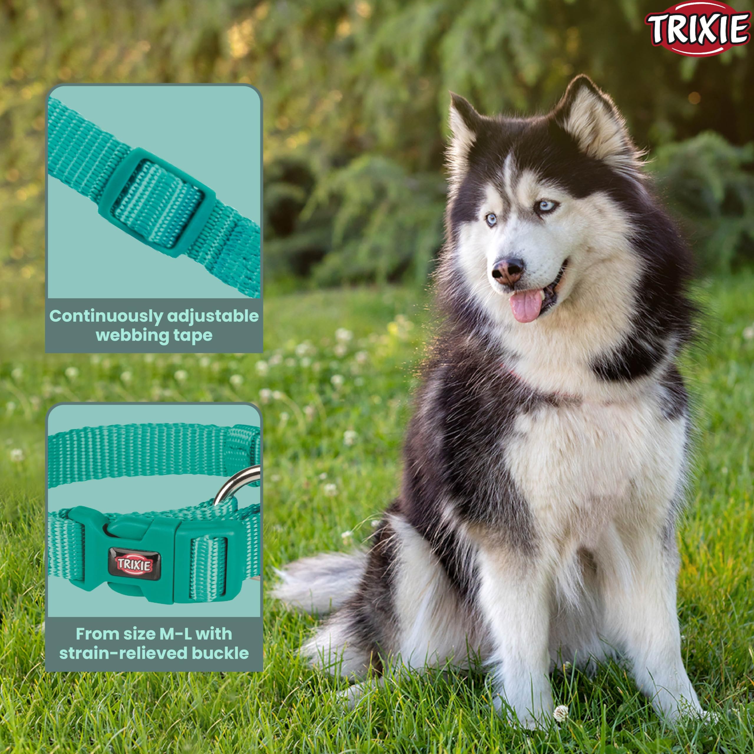 Premium Adjustable Dog Collar with Leash Connector - Stylish Ocean Blue Design (35-55cm M-L) for Medium to Large Dogs - Perfect for Daily Walks, Training & Outdoor Adventures