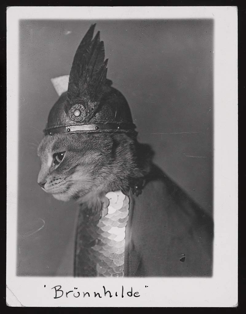 Brünnhilde Canvas Wall Art - 20