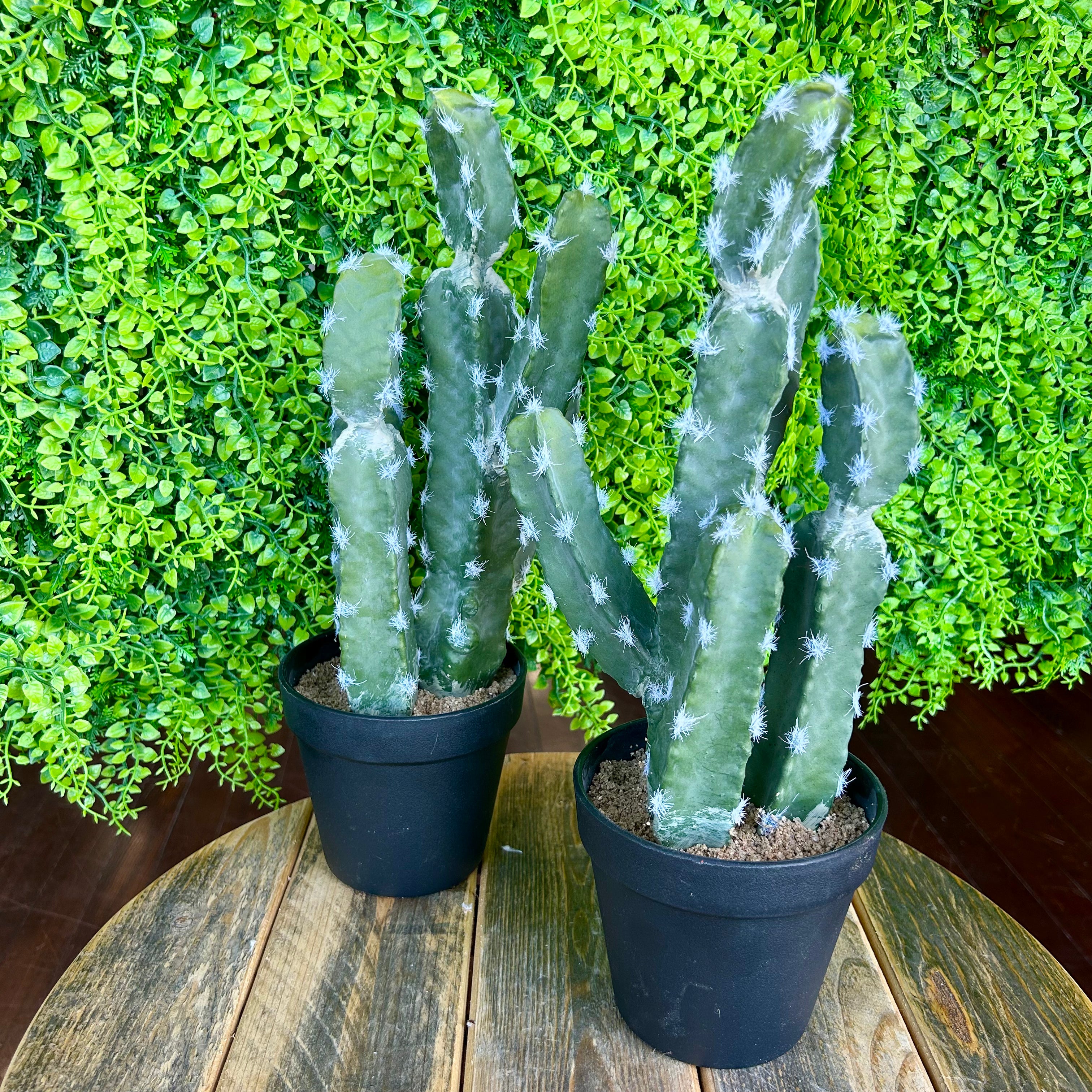 5 Inch Silk Potted Cactus - Artificial Succulent Plant for Home & Office Decor - Perfect for Desk, Shelf, and Tabletop Display