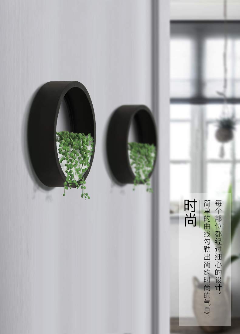 Ecosides 8