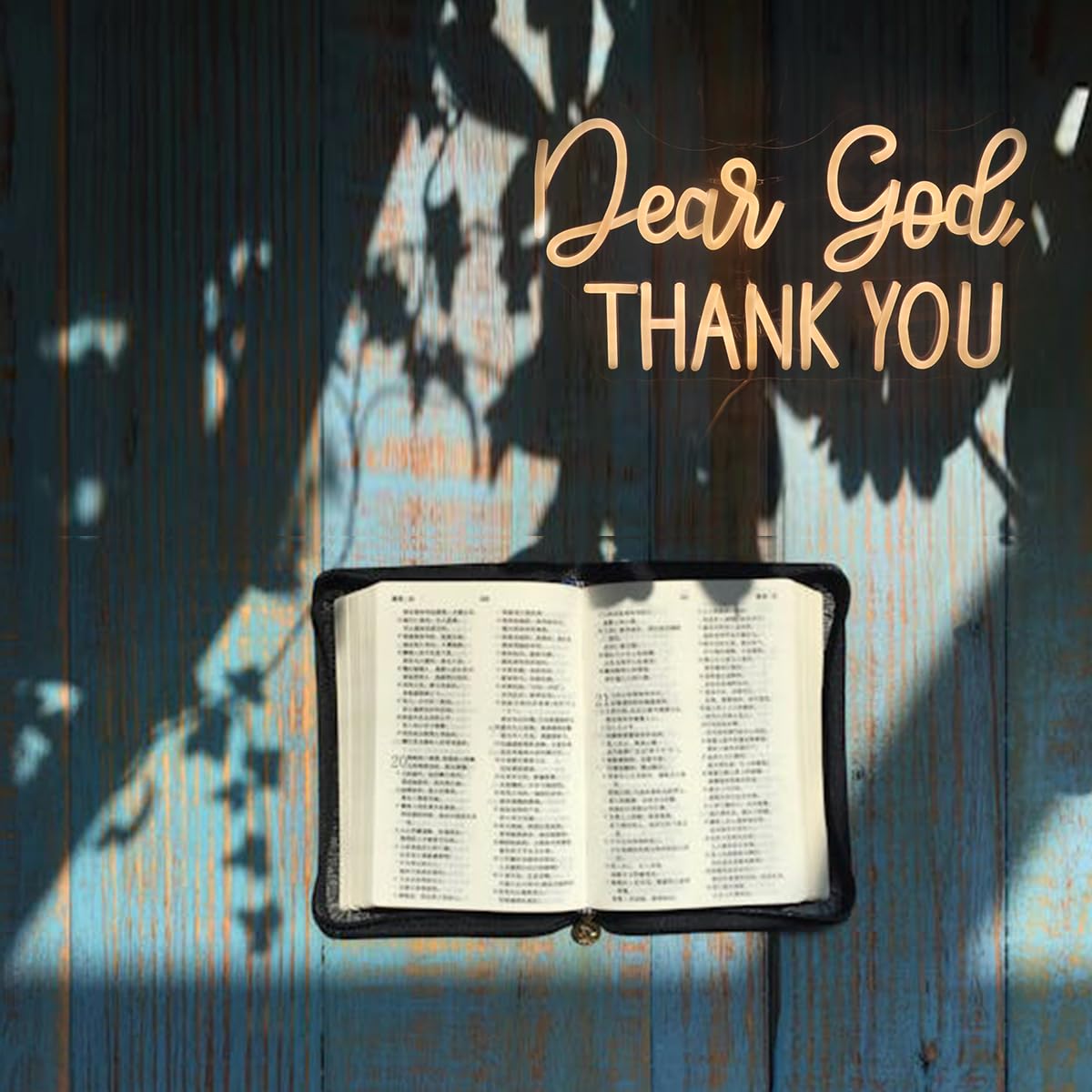 Dear God Thank You Neon Sign - Dimmable LED Decorative Light for Office, Home, Living Room & Classroom - Inspirational Christian Gift for Christmas, Birthday & Religious Occasions (Warm White)