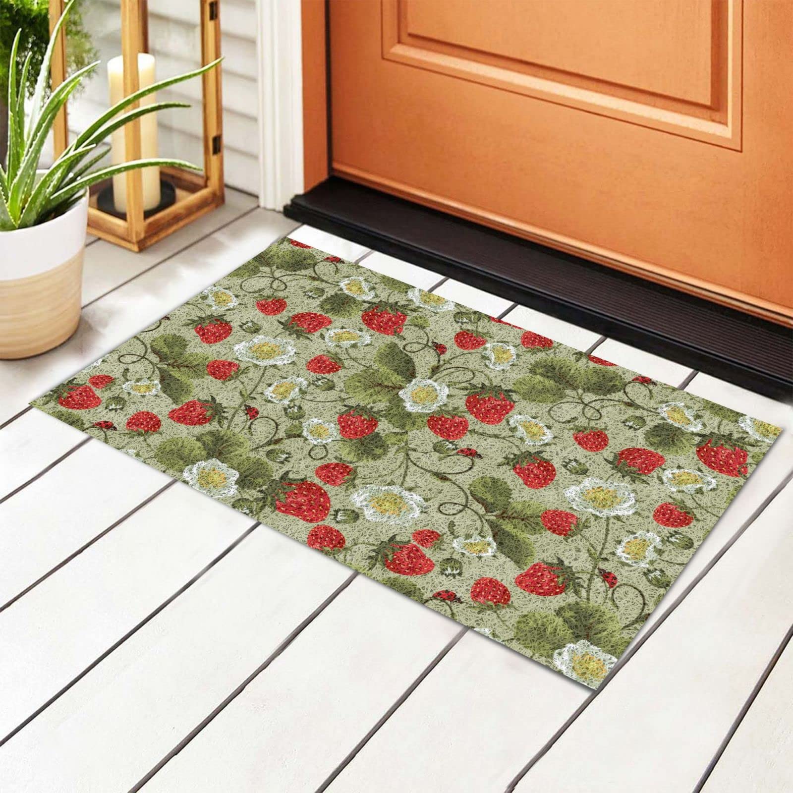 BoeHiop Strawberry Ladybug Welcome Door Mat - Non-Slip Absorbent Rug for Indoor/Outdoor Use - Personalized Front Door Mat Home Decor - Perfect for Entryway, Patio, and Garden Decorations