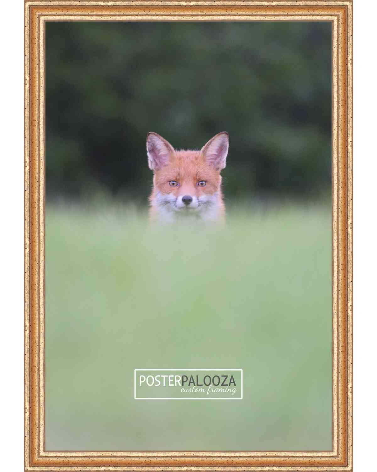 15x22 Traditional Gold Wood Picture Frame with UV Acrylic Plexiglass - Complete Set with Foam Board Backing & Hanging Hardware - Perfect for Posters, Artwork, and Home Decor Display