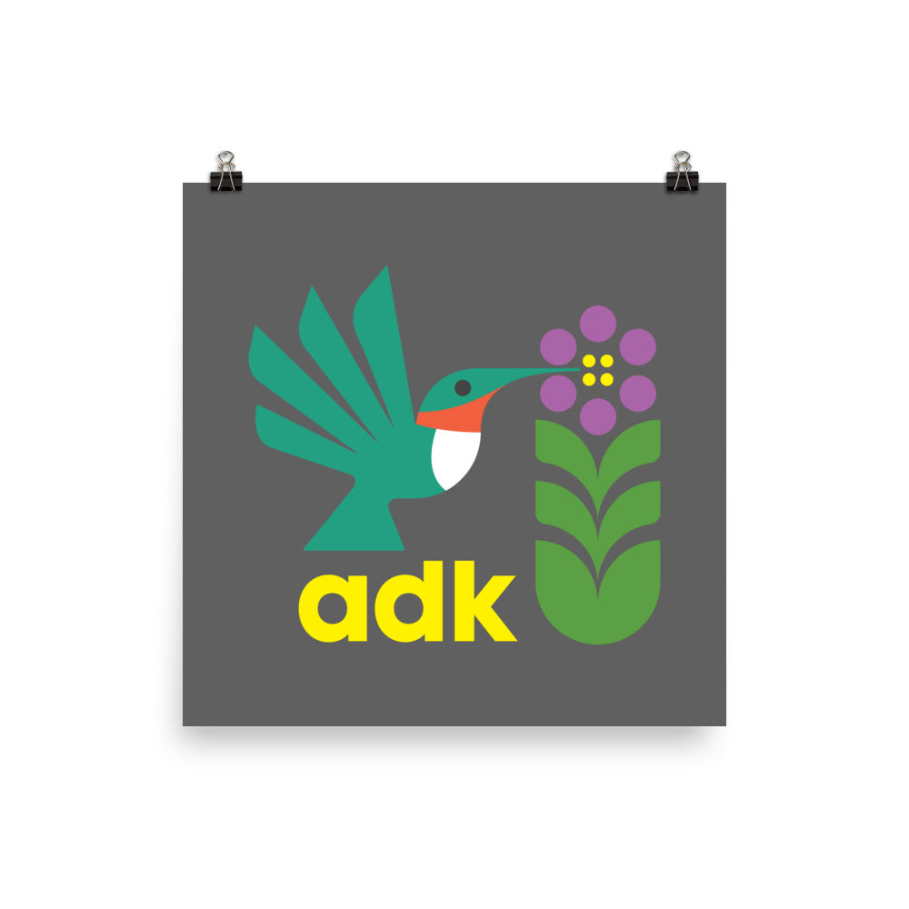 Hummingbird Poster - Vibrant Wall Art Decor for Home, Office & Gifts - Perfect for Living Room, Bedroom & Nursery Decorations