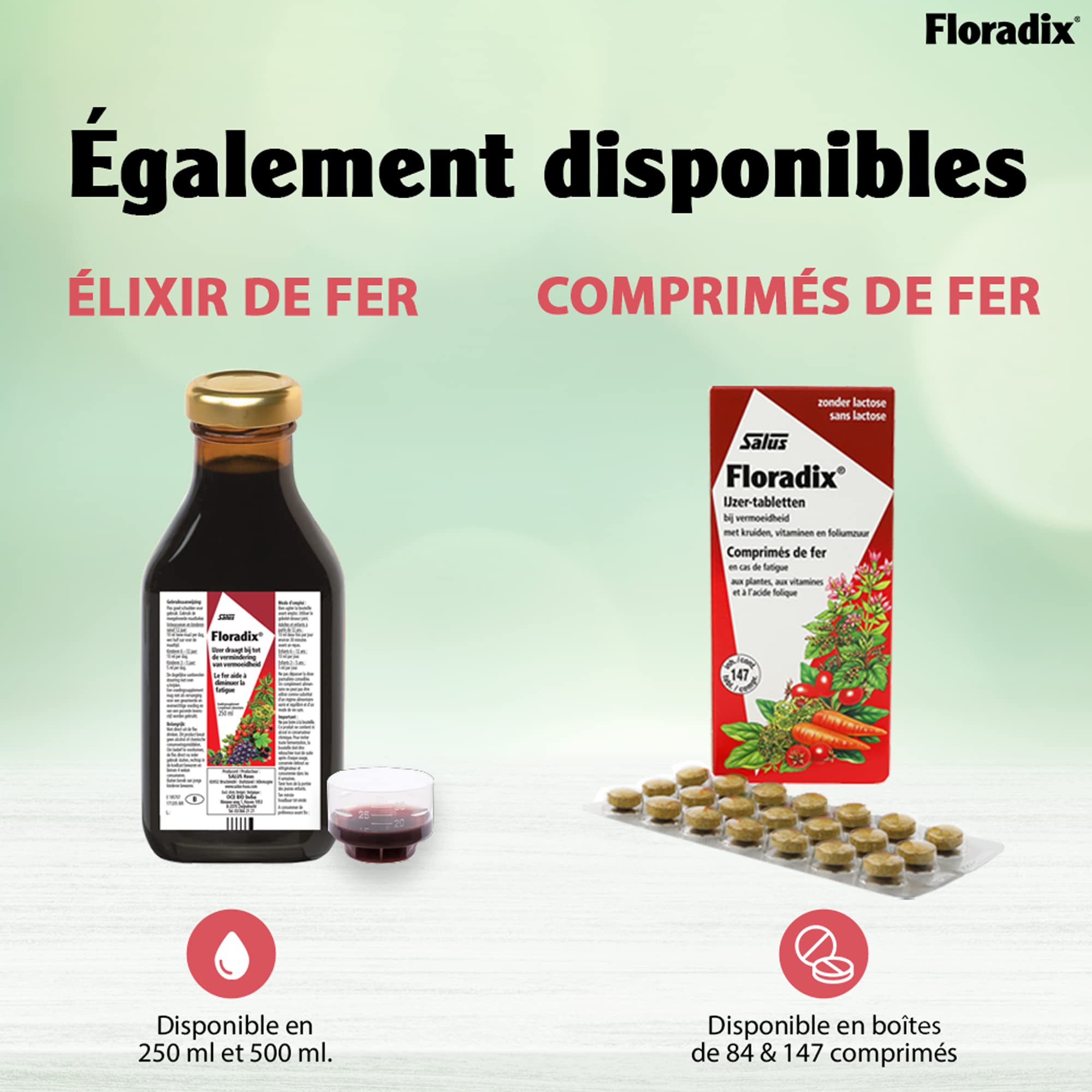 Floradix Liquid Iron & Vitamin Supplement - 250ml | Herbal Iron Formula for Energy & Vitality | Supports Healthy Blood & Immune System - Perfect for Adults & Teens with Low Iron Levels