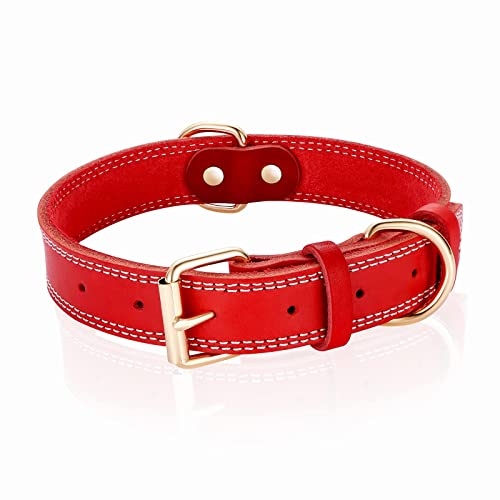 Dual Stitch - Red