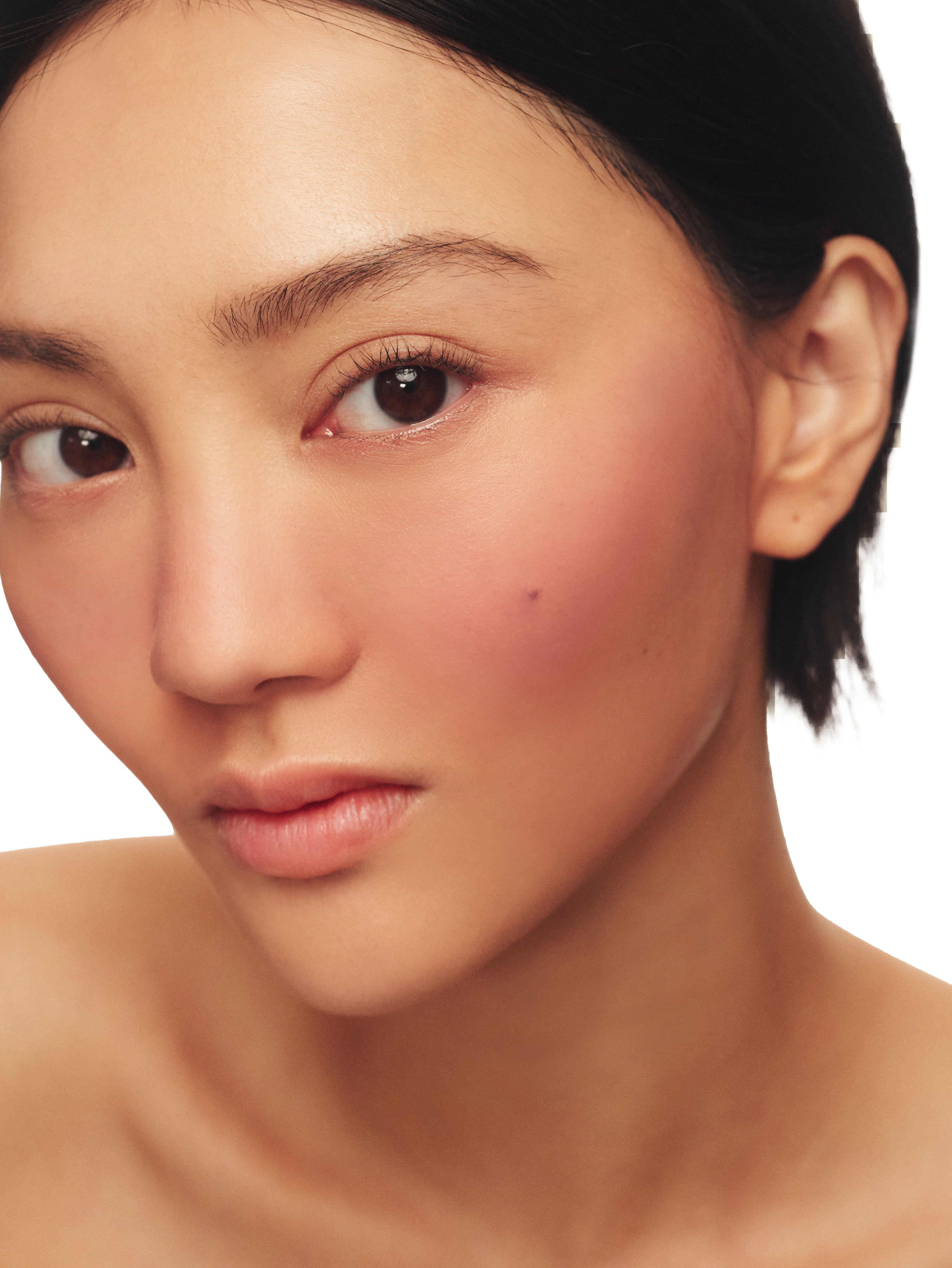 Natural Blush On Makeup Set - Flattering Cheek Color Palette for Daily & Party Wear | Cruelty-Free & Long-Lasting
