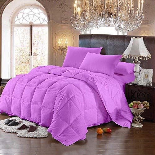 Lavender(striped)