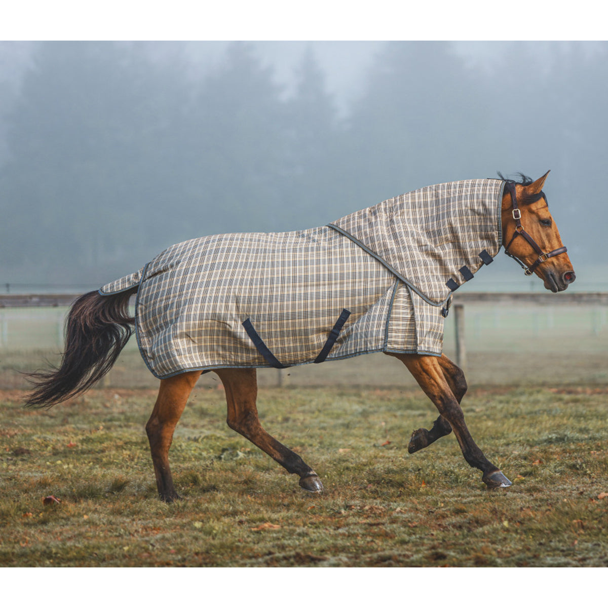 5-Pack Baker Neck Cover 200g for Horse Turnout Blanket - Waterproof & Breathable for Outdoor Riding and Stable Use