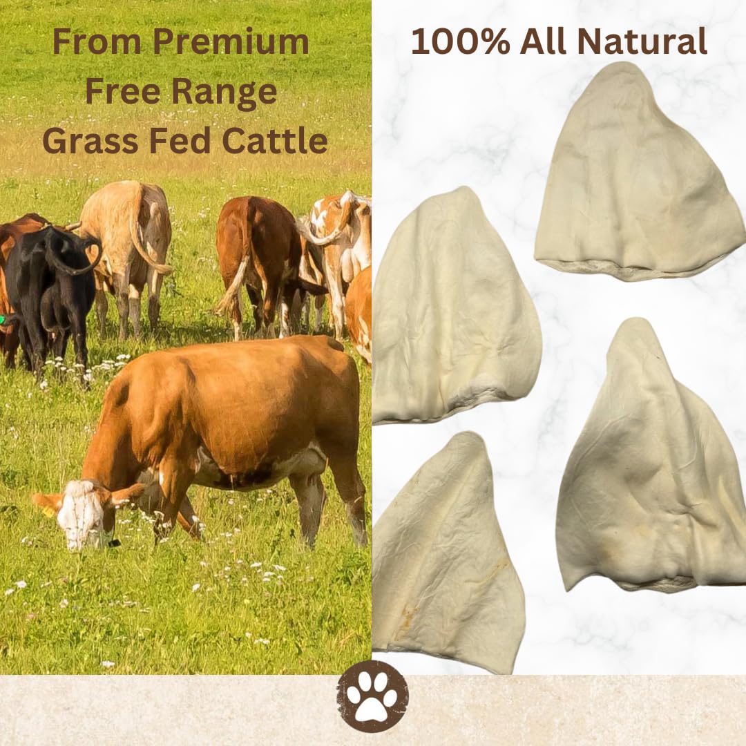 Premium All-Natural Cow Ears Dog Chews - High Protein, Grain-Free, USA Made Healthy Treats for Medium & Large Dogs - Perfect for Training, Dental Health & Long-Lasting Chewing (12-Pack)