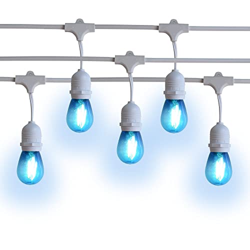 Shatterproof LED Bulbs 2-Watt - Blue - White Cord