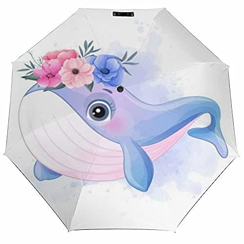 Cute Little Whale Watercolor