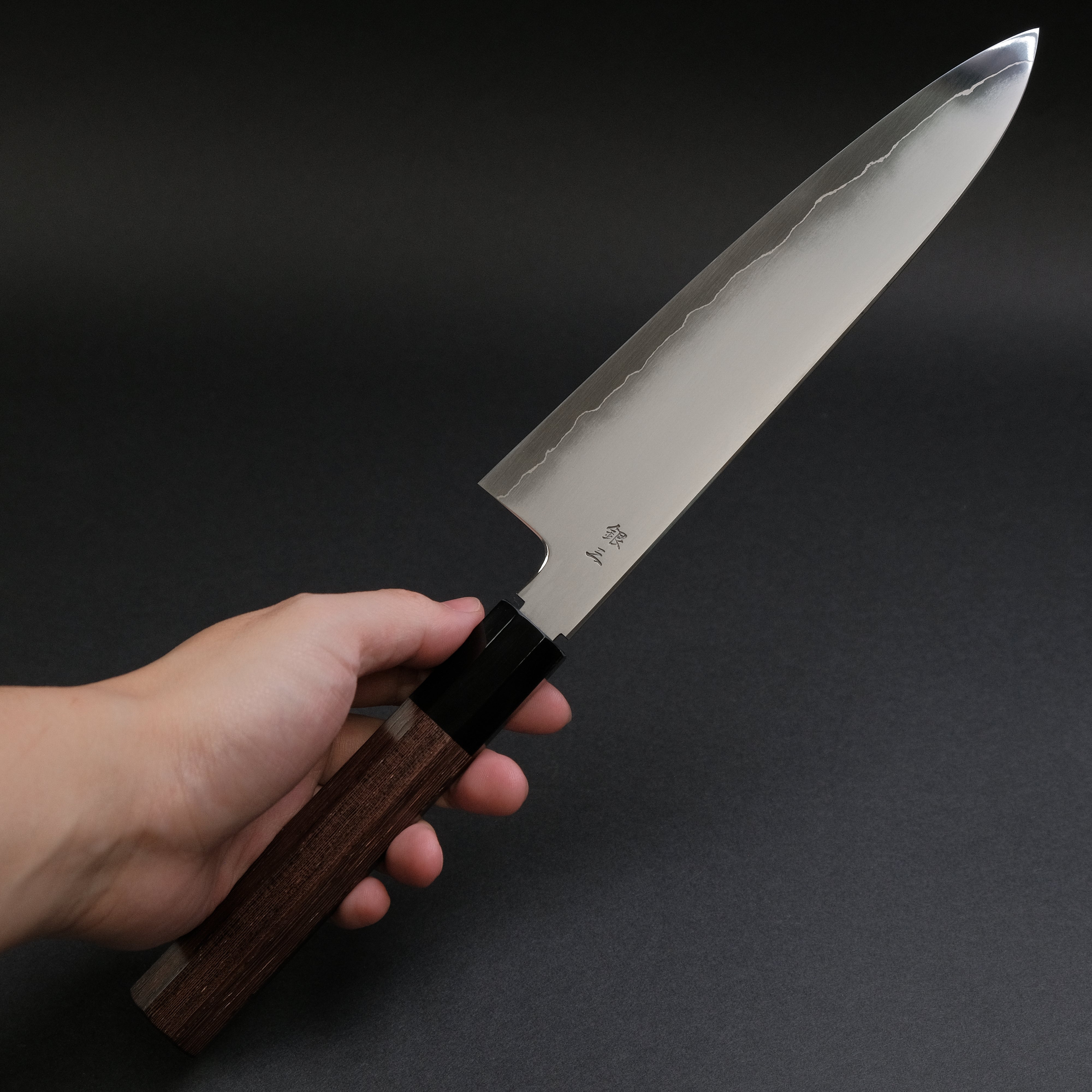 Premium Tetsujin Silver #3 Kasumi Gyuto 210mm Japanese Chef Knife with Taihei Tagayasan Handle - Perfect for Sushi, Meat Slicing & Professional Kitchen Use