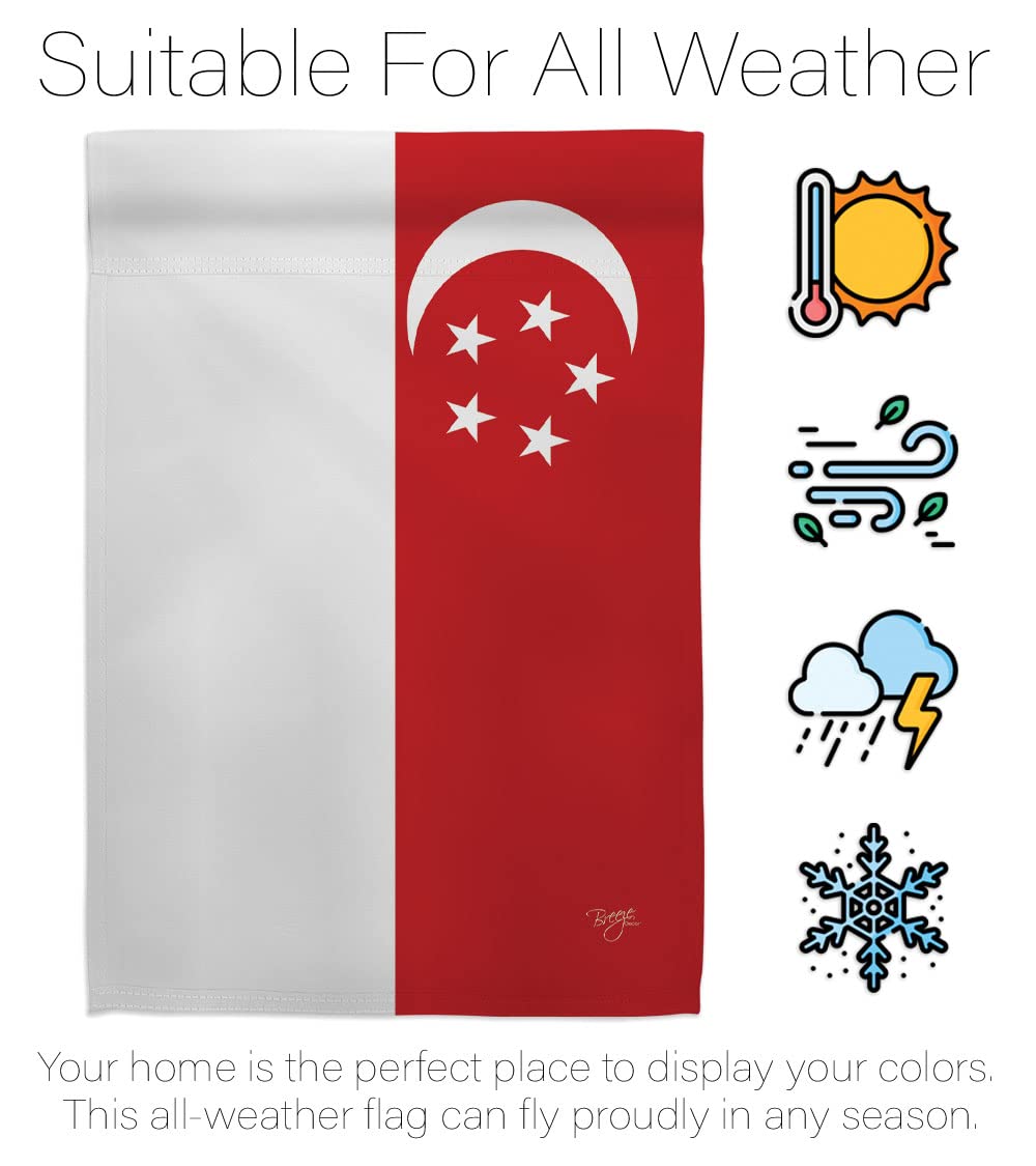 Singapore Nationality House Flag Set 28