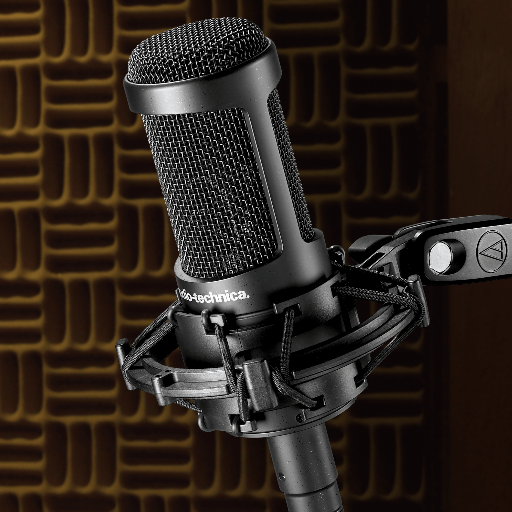 Audio Technica AT2050 Multi-Pattern Large Diaphragm Condenser Microphone - Professional Studio Recording, Podcasting & Live Streaming