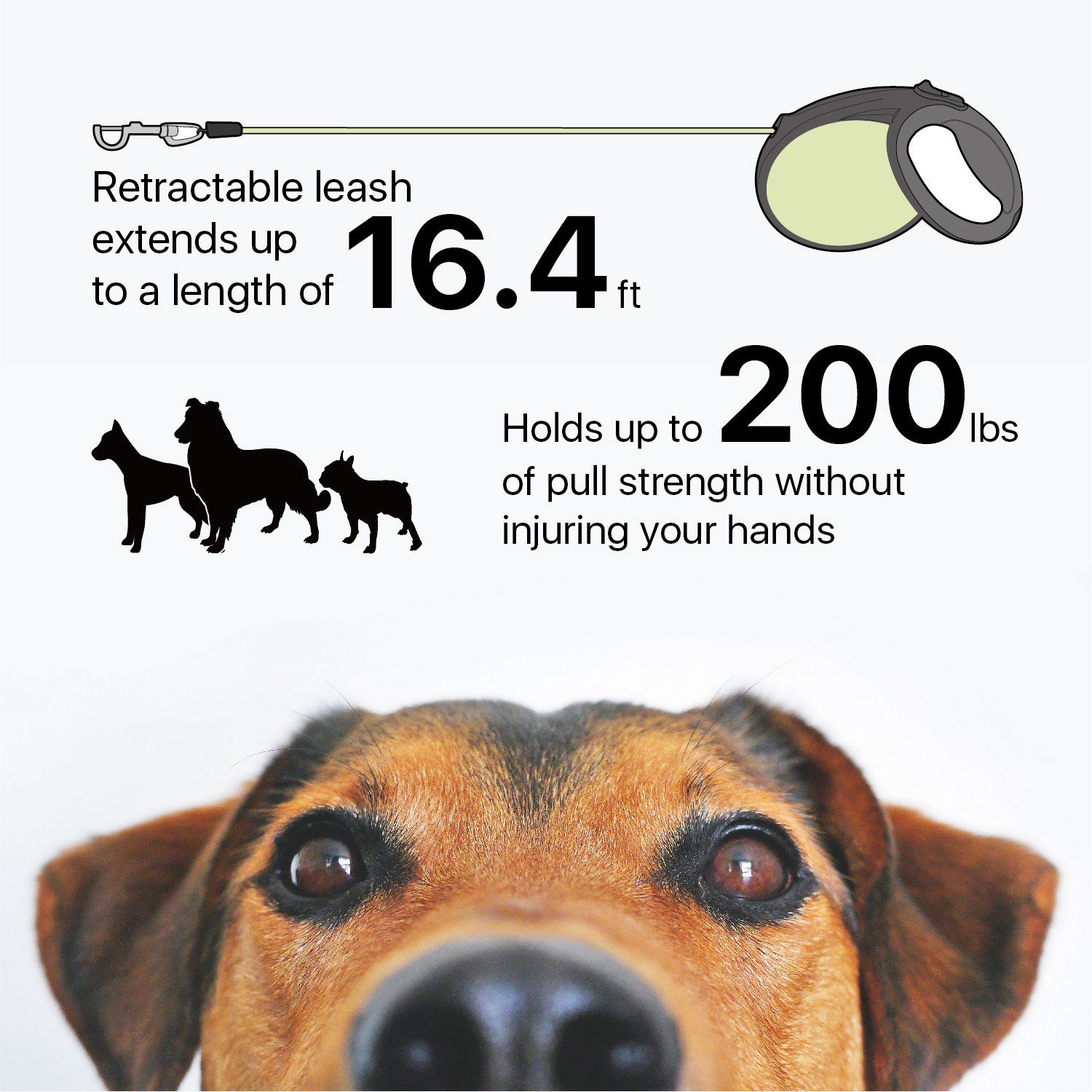 **Flexzion 16ft Retractable Dog Leash for Small & Medium Dogs - Heavy Duty Anti-Tangle Reflective Extendable Leash with Lock Button, Neon Green & Black - Perfect for Night Walks & Outdoor Safety**    *(Use Case: Ideal for evening walks, jogging, or hiking with your pet, ensuring visibility and control in low-light conditions.)*