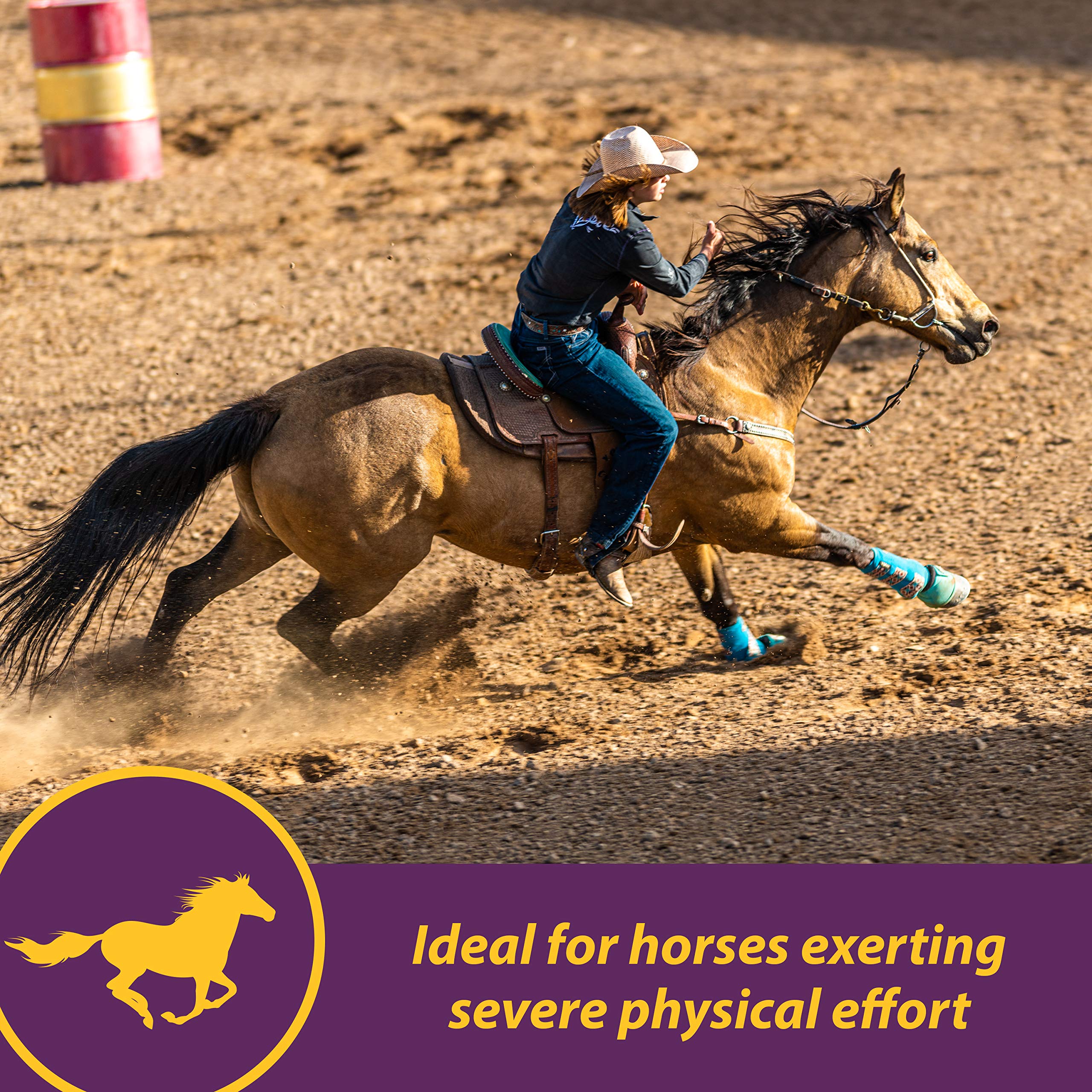 Farnam Horse Health Vita E & Selenium Crumbles - Vitamin Supplement for Horses, 20 lbs (640 Day Supply) - Supports Muscle Health & Antioxidant Protection - Ideal for Performance Horses, Breeding Mares & Senior Equine Care